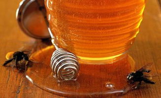 参考蜂蜜类型标准判断产品质量